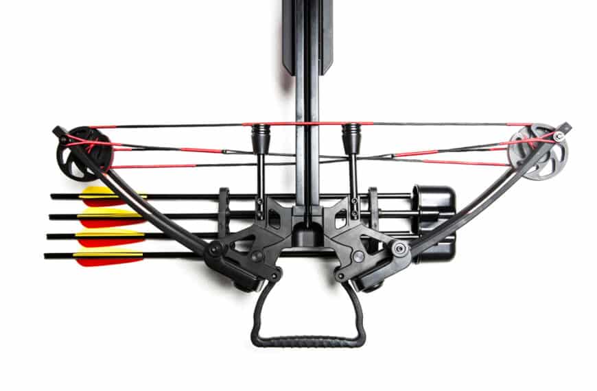 Comment choisir la meilleure arbalète : Guide et Explications